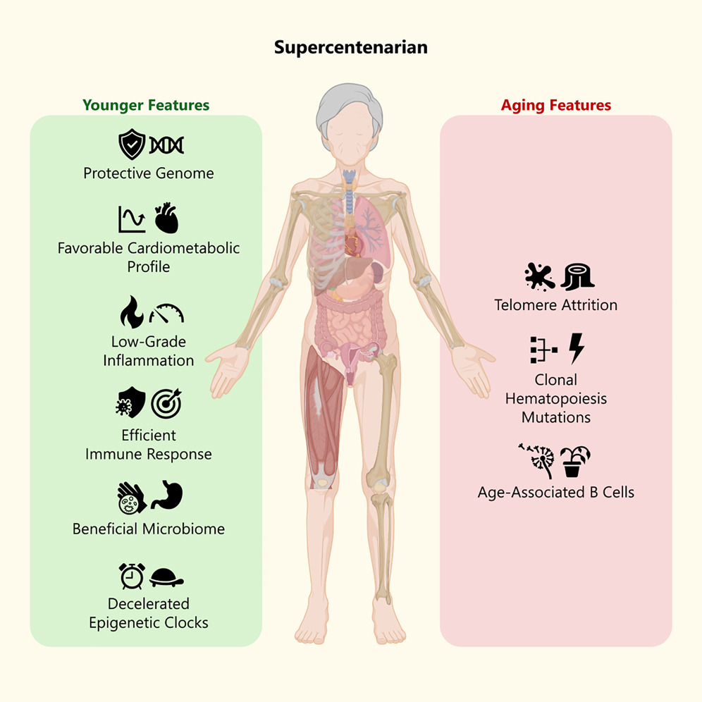 Supercentenarian multi-omics study on extreme human longevity
